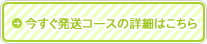 今すぐ発送コースの詳細はこちら